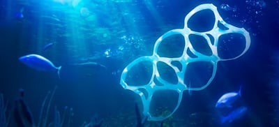 La importancia de renunciar al uso del plástico