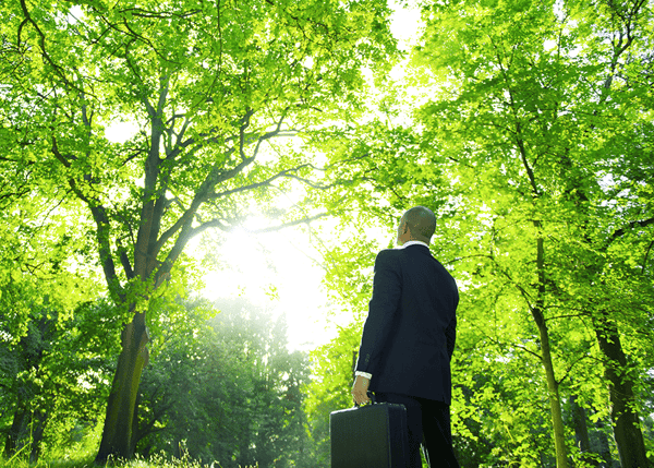 La complicidad del CFO con la RSE