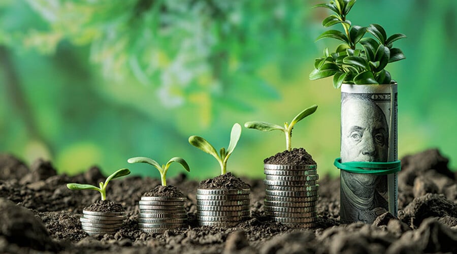 inversiones-en-dolares-aprovecha-el-tipo-de-cambio-a-tu-favor_C